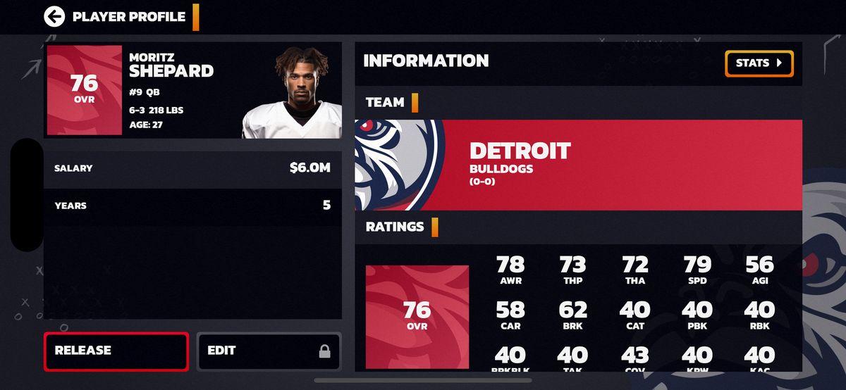 Player Profile